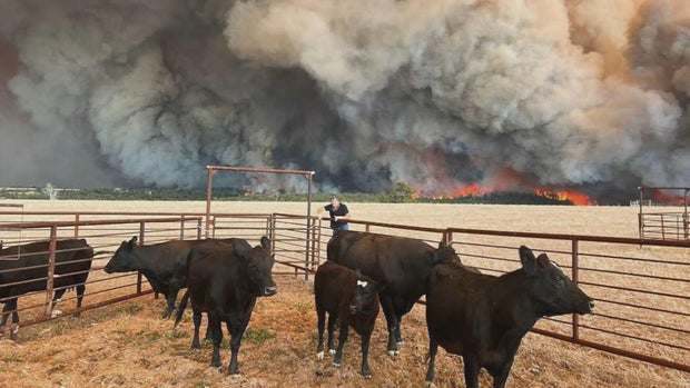aspen-acres-fire-7-4-latest-10pkg-frame-1903.jpg 