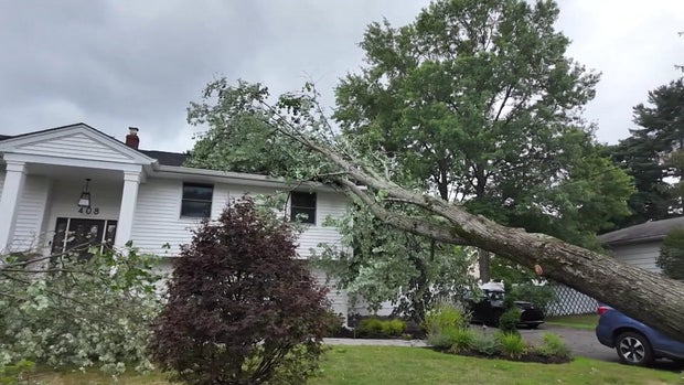 fan-12p-paramus-trees-d-wcbsicbc-hi-res-still-00-01-2527.jpg