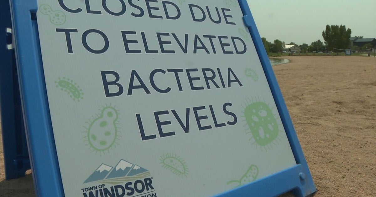 Popular Northern Colorado lake closed to swimming amid toxic blue-green algae bloom