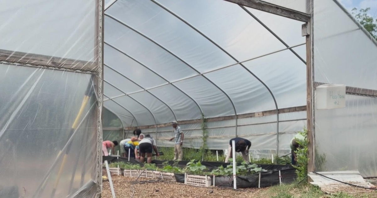 Metro Atlanta urban farm gives veterans and students skills that last a ...