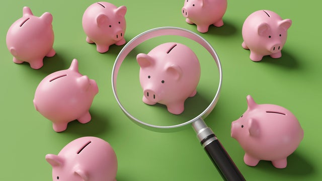 A magnifying glass enlarging one of the pink piggy banks facing different directions on a green background. Illustration of the concept of investment choices and different financial products 