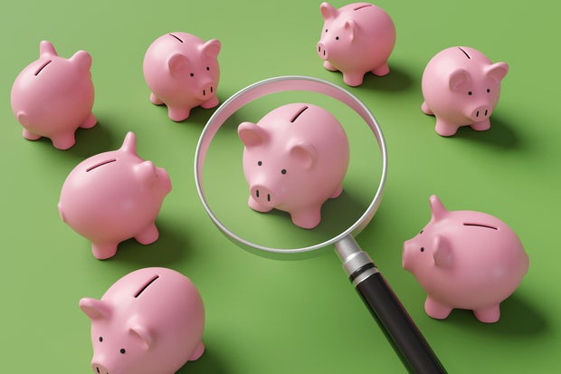 A magnifying glass enlarging one of the pink piggy banks facing different directions on a green background. Illustration of the concept of investment choices and different financial products