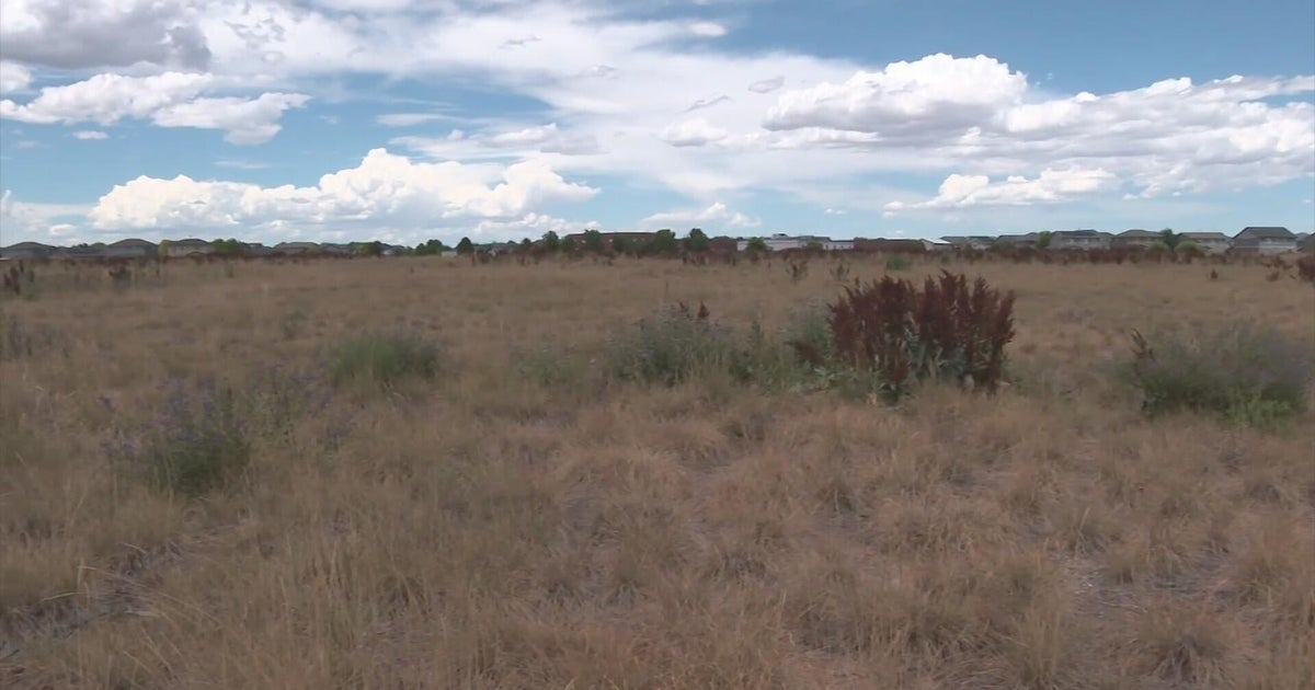 Some residents raise concerns for proposed Walmart in growing Northern Colorado ...