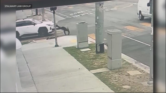 south-los-angeles-hit-and-run.jpg 