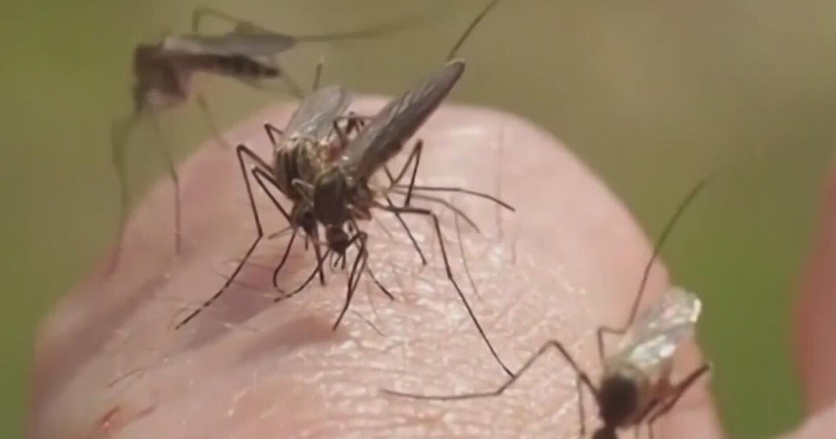 West Nile virus detected in Atlanta's Grant Park as CDC warns of unusually early mosquito season