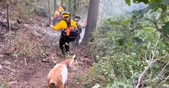 Colorado firefighters get some help from 
