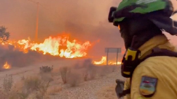 At least 11 killed by wildfire in southern Spain