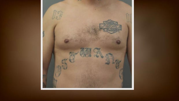 matos-tattoos.jpg