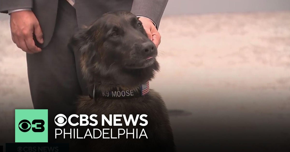 Philadelphia DA says Bensalem K9 named Moose helped with major drug bust