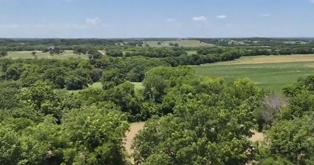 Democratic candidate for Lt. Governor, other Texas Democrats push for moratorium, special session on data centers