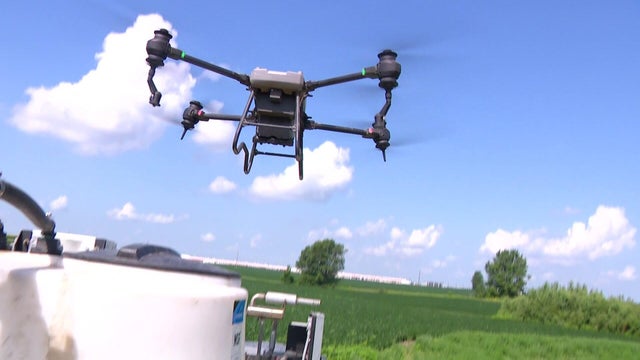 6p-drones-and-farming-pkg-cruz-lauritsen-00-00-1213.jpg 