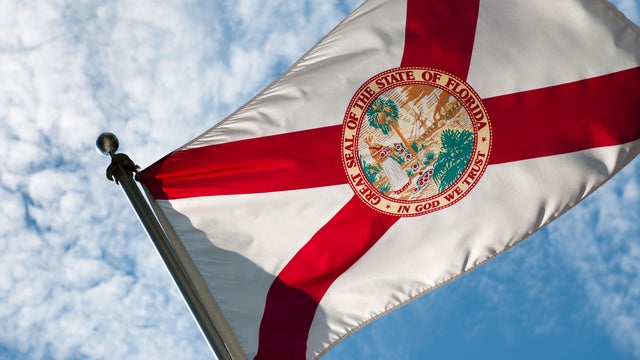 USA, Florida, State flag of Florida against cloudy sky 