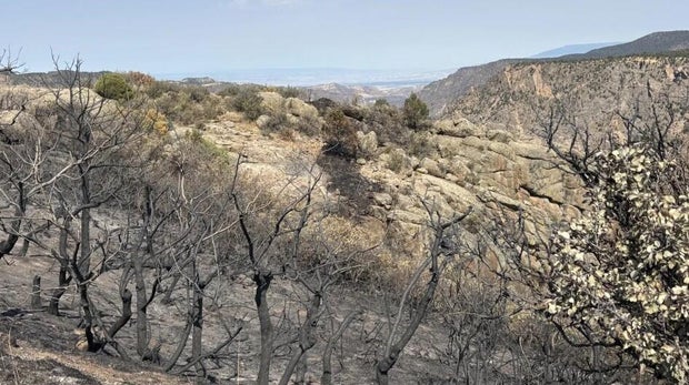 black-canyon-mudslide-file-photo-of-south-rim-fire-damage-from-montrose-cnty-so.jpg
