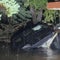 Flooding kills at least 2 in Texas as torrential rain continues