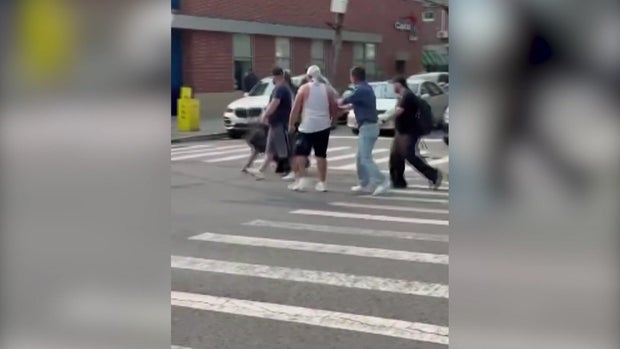 Group of individuals involved in a confrontation 