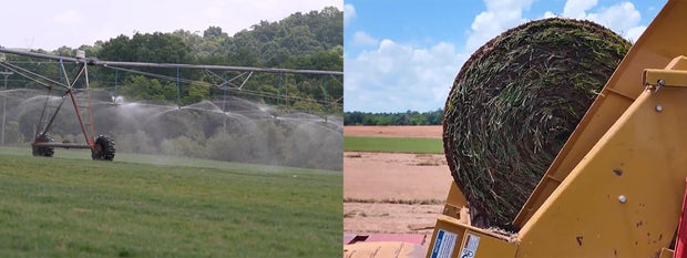 sod-farm.jpg