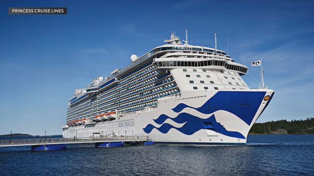 princess-cruise.png 