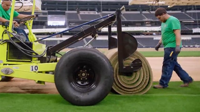 sod-for-fifa-world-cup-pitch.jpg 