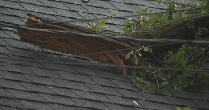 Anne Arundel County residents shaken up after severe storm tears through Pasadena