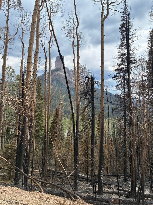 gold-mountain-fire-incident-command.jpg