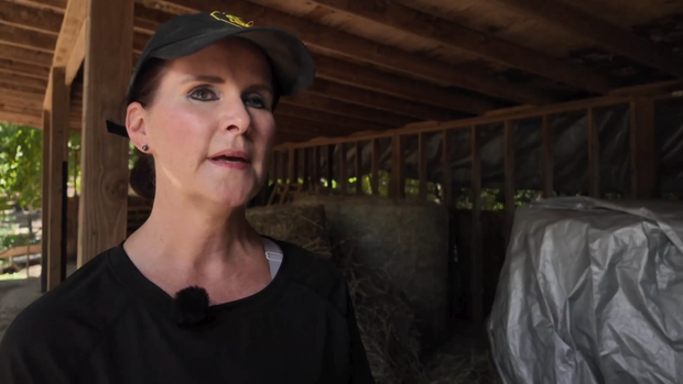 georgia-farmers-diesel-2.png