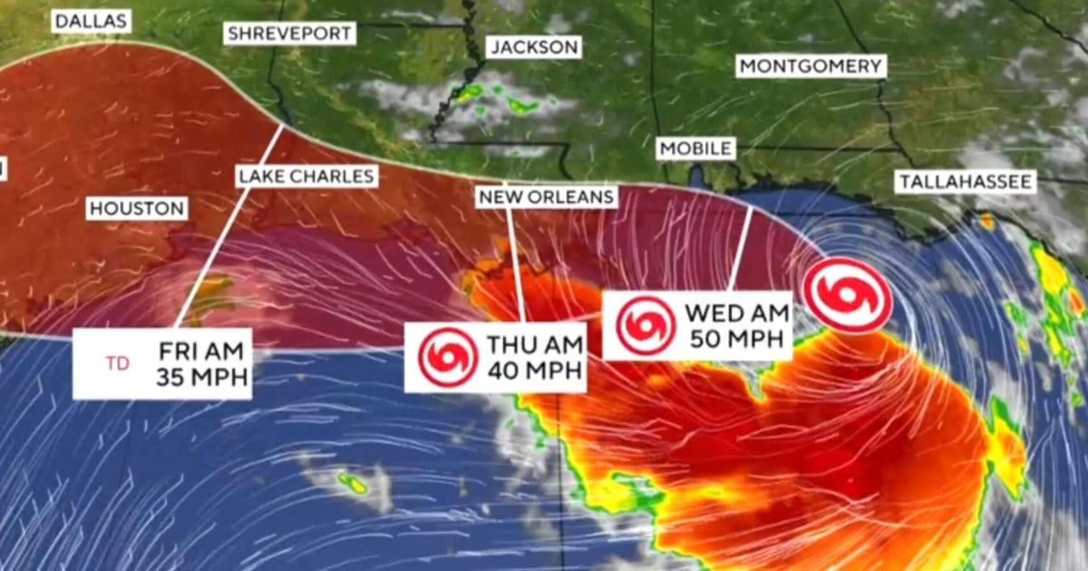 Tropical Storm Bertha threatens Gulf Coast with strong winds and rain