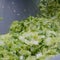 FDA says its still investigating Taylor Farms for cyclospora after false positive