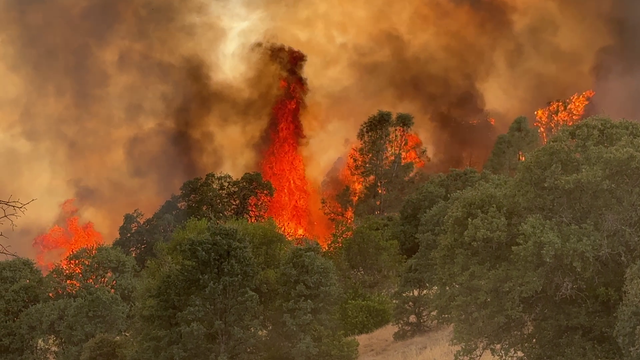 Rumsey Fire 
