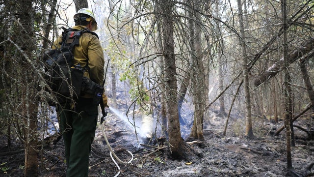 wildfire.jpg 