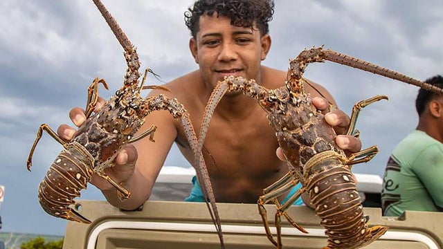 US-NEWS-ENV-FLA-LOBSTER-SEASON-4-MI 