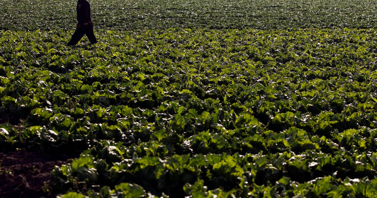 Maryland's cyclospora outbreak surpasses 100 cases, as FDA continues to investigate the source