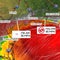 Tropical Storm Bertha moves off Louisiana, heads for Texas. See its path.