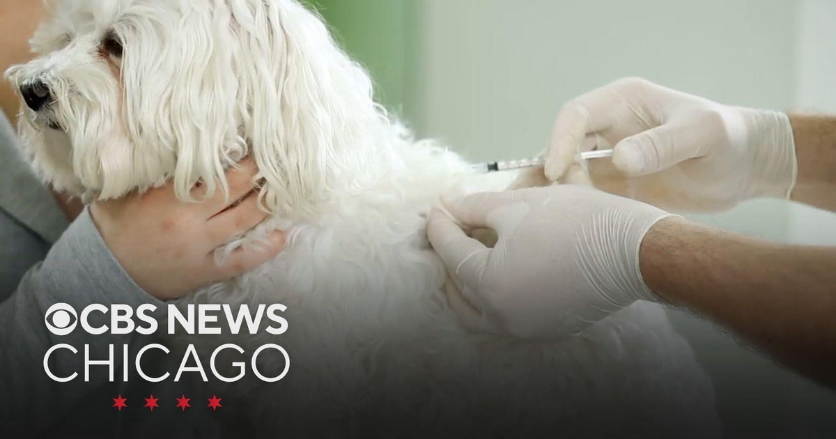 Kane County says rabies shots given to pets last year may have lost potency