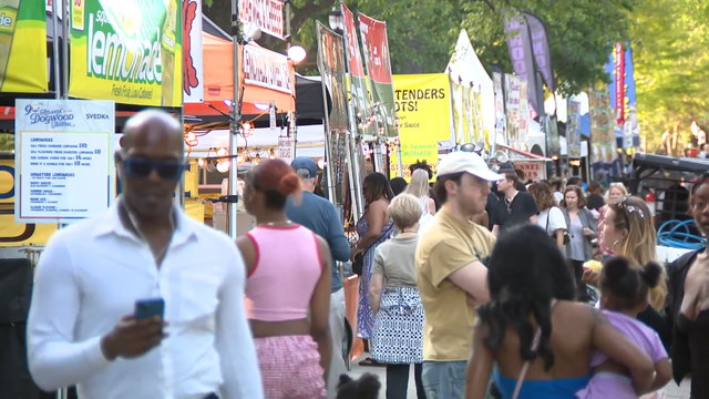 dogwood-fest.png 