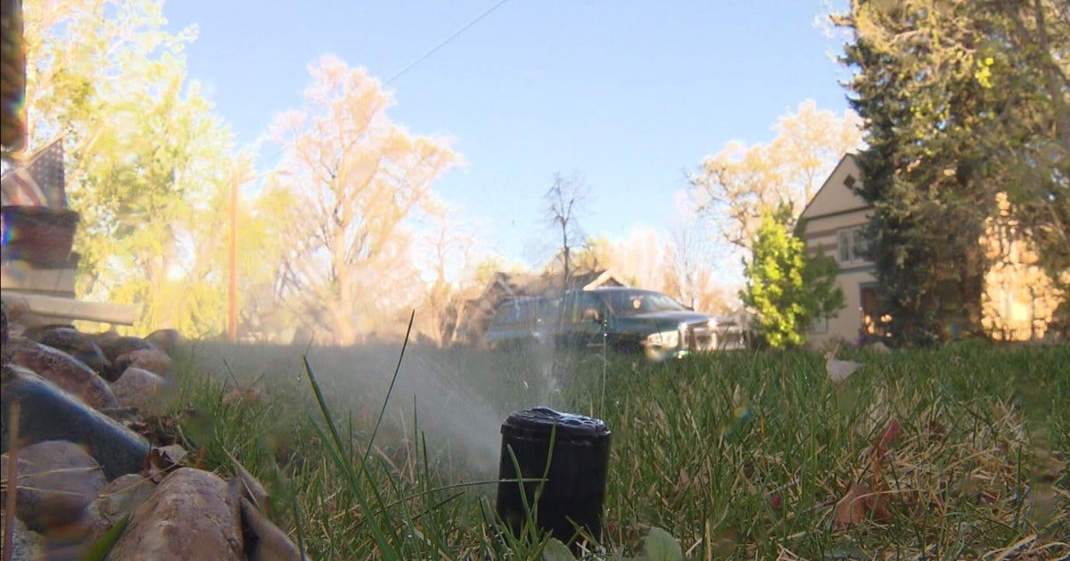 Denver Water asks customers to stick to watering restrictions, hopes residents 