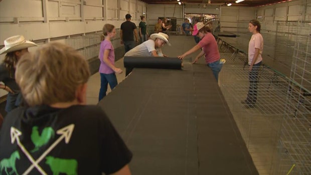 douglas-county-fair-vo-cut-frame-792.jpg