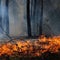 Thousands of people flee raging wildfires in France and Spain