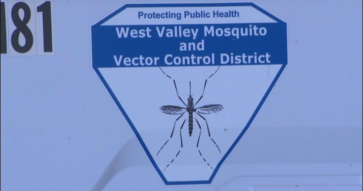 Vector control experts expect increase in mosquitos as heat wave continues