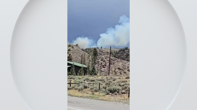 wildfire-almont-colorado.png 