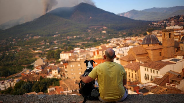 A man and his dog look at a wildfire in a mountain in Onda 