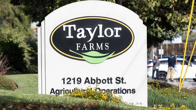 Cyclosporiasis Outbreak Traced To Iceberg Lettuce From Produce Giant Taylor Farms 
