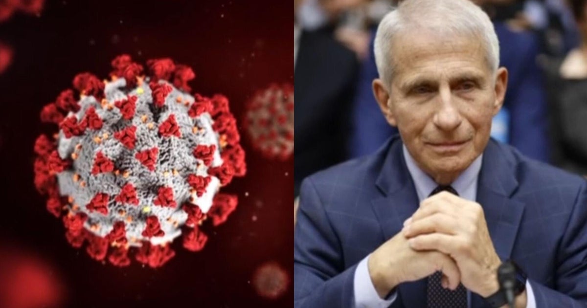 Doctor discusses potential COVID origin after Dr. Anthony Fauci's diary release