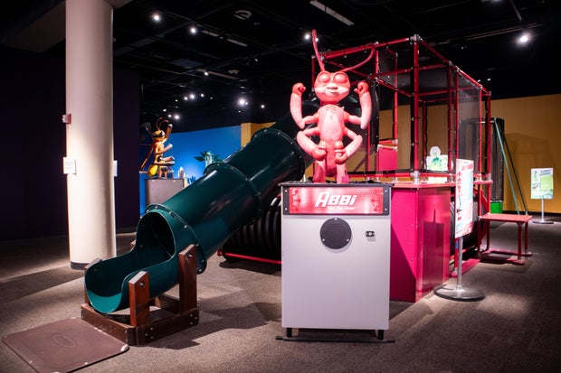 bug-squad-5-courtesy-of-peggy-notebaert-nature-museum-of-the-chicago-academy-of-sciences.jpg 