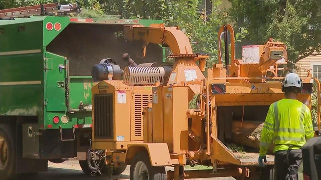 glen-ellyn-cleanup.jpg 