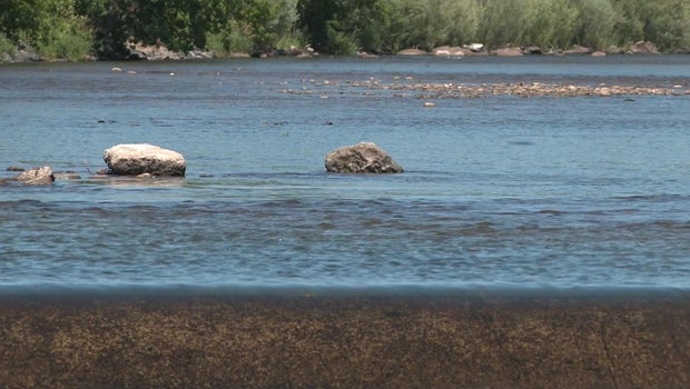 Stinky and bad tasting water in Northern Colorado city caused by algae bloom