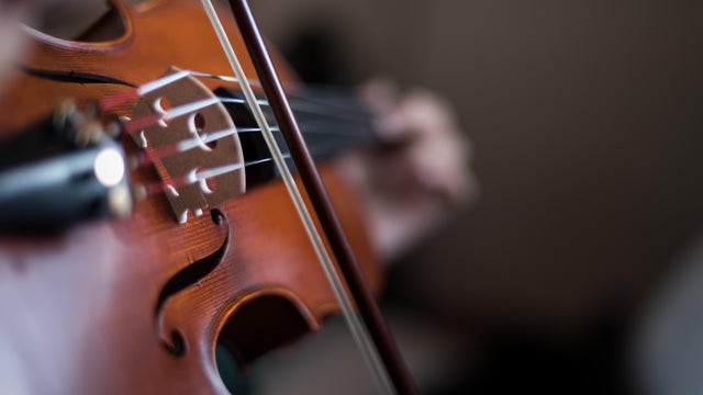 Viola musical instrument 