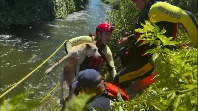man-and-dog-rescued-from-canal-fresno-fd.jpg 