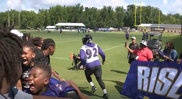 ravens2.png