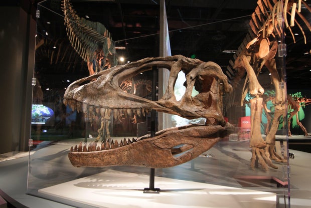 03-ultimate-dinosaurs.jpg