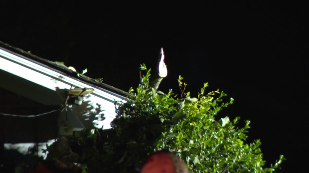 screenshot-2026-07-30-at-9-49-50-am.png